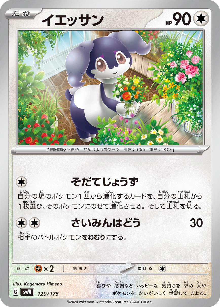 Carte Wimessir — Generations Start Decks