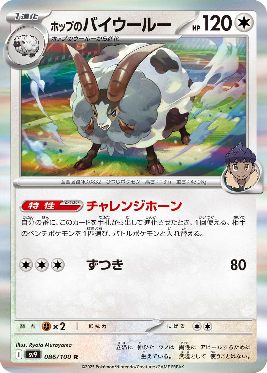 Carte Hop's Dubwool — Battle Partners