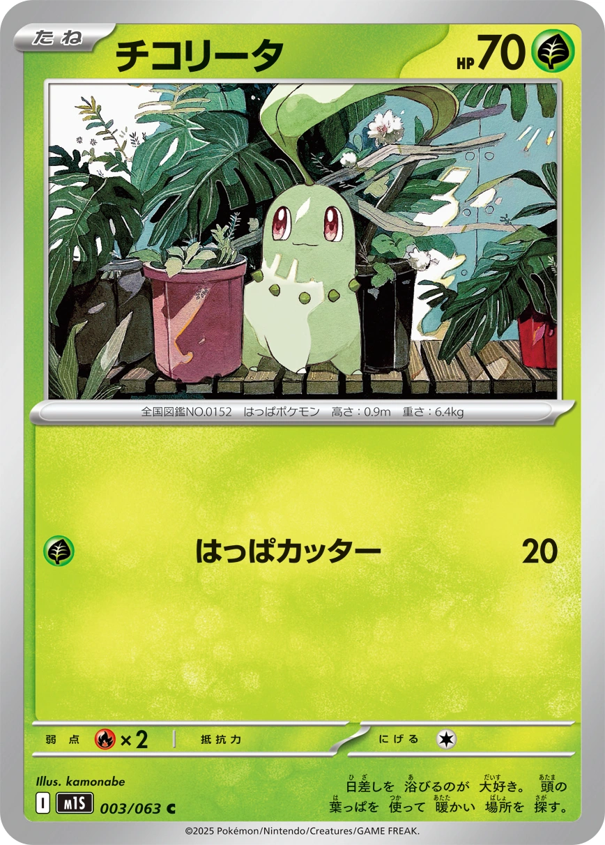 Carte Chikorita — Mega Symphonia