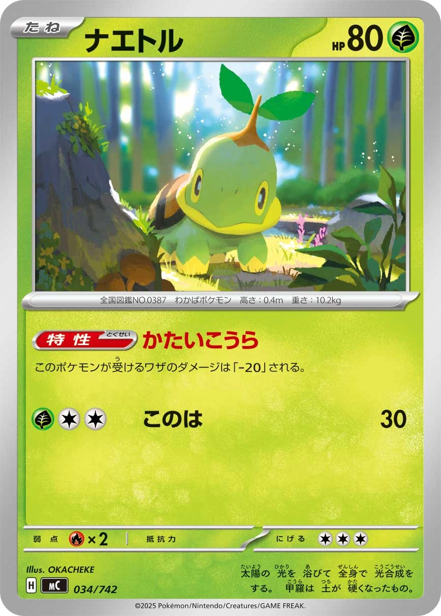 Carte Tortipouss — MEGA Start Deck 100 Battle Collection