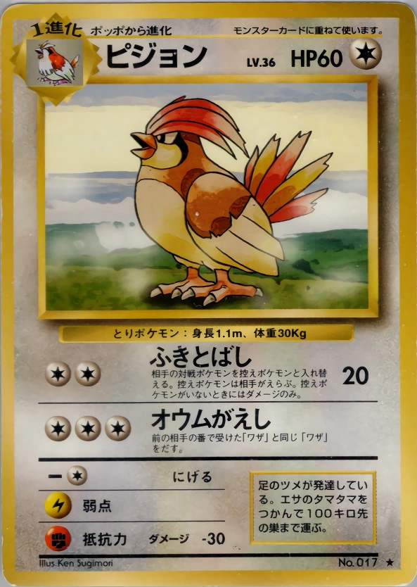 Carte Pidgeotto — Expansion Pack