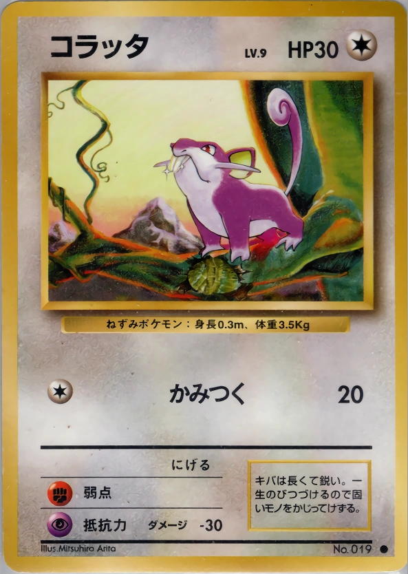 Carte Rattata — Expansion Pack