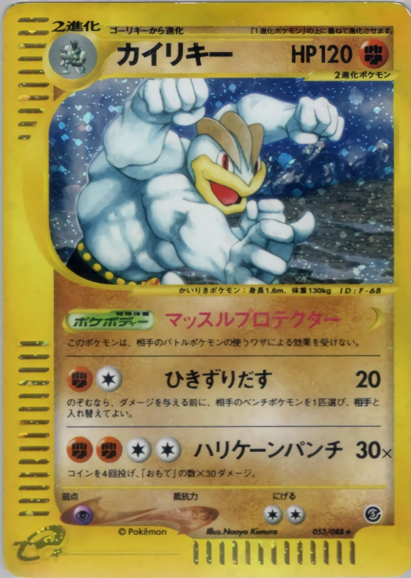 Carte Machamp — Mysterious Mountains