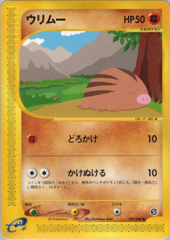 Carte Swinub — Mysterious Mountains