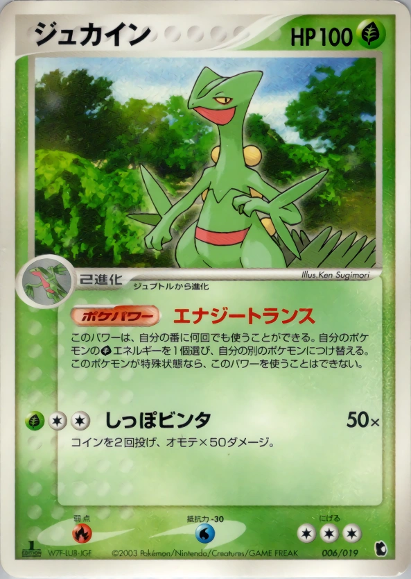 Carte Jungko — Treecko Constructed Starter Deck