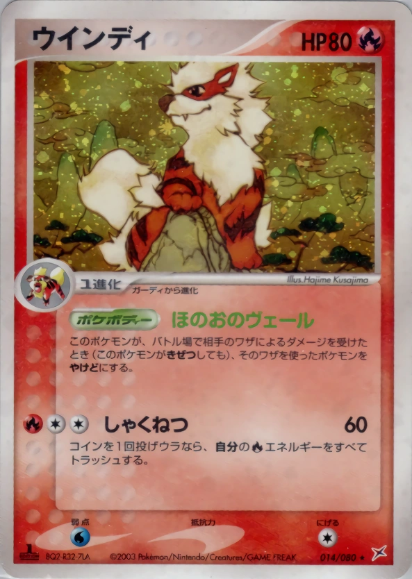Carte Arcanine — Magma VS Aqua Two Ambitions