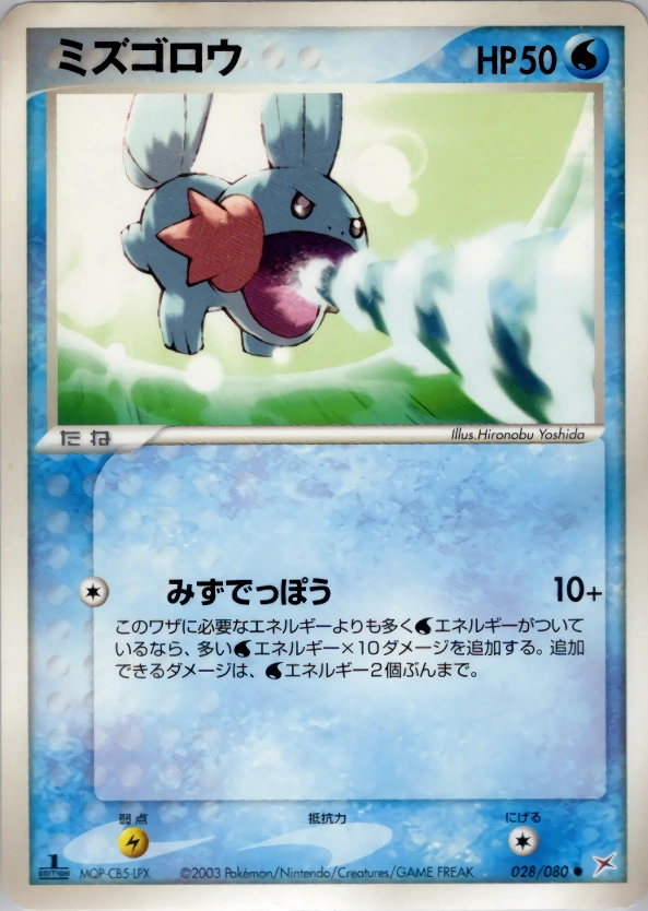 Carte Mudkip — Magma VS Aqua Two Ambitions