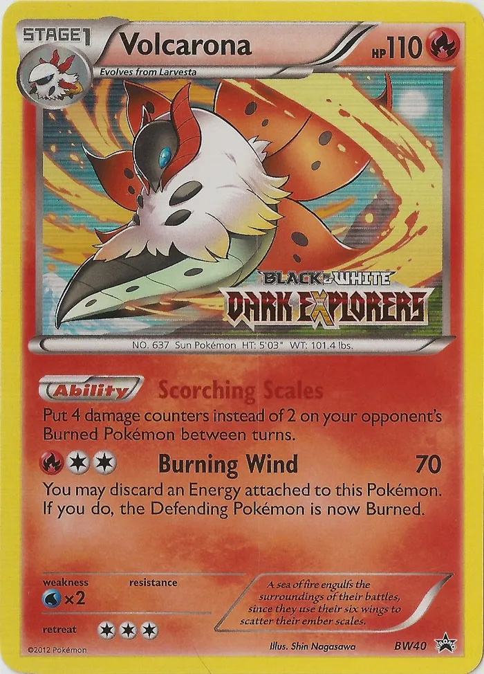 Carte Pyrax — BW Black Star Promos