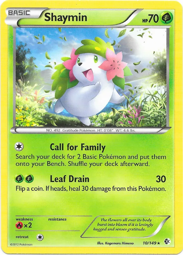 Carte Shaymin — Boundaries Crossed