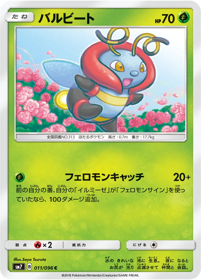 Carte Muciole — Celestial Storm