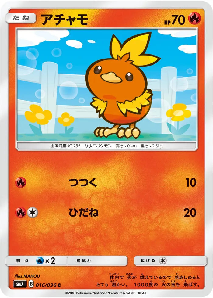 Carte Torchic — Celestial Storm