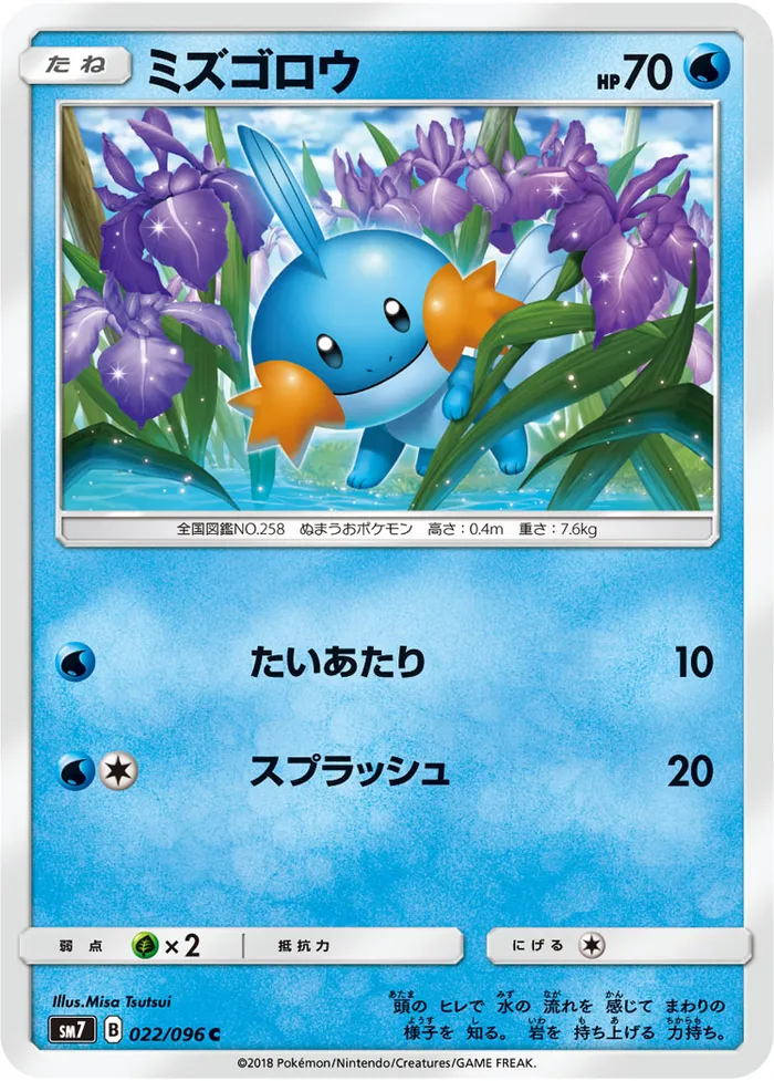 Carte Mudkip — Celestial Storm