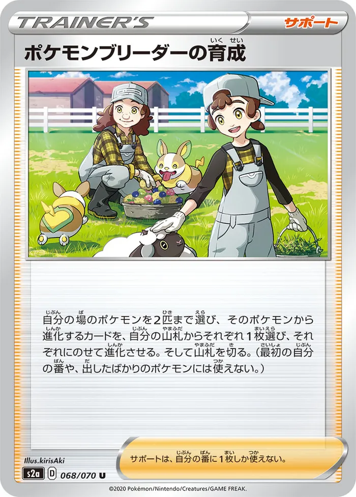 Carte Soins de l'Éleveur de Pokémon — Darkness Ablaze
