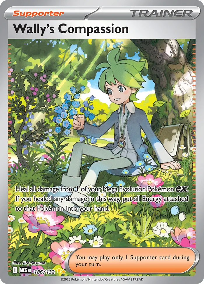 Carte Compassion de Timmy — Mega Evolution Additionals