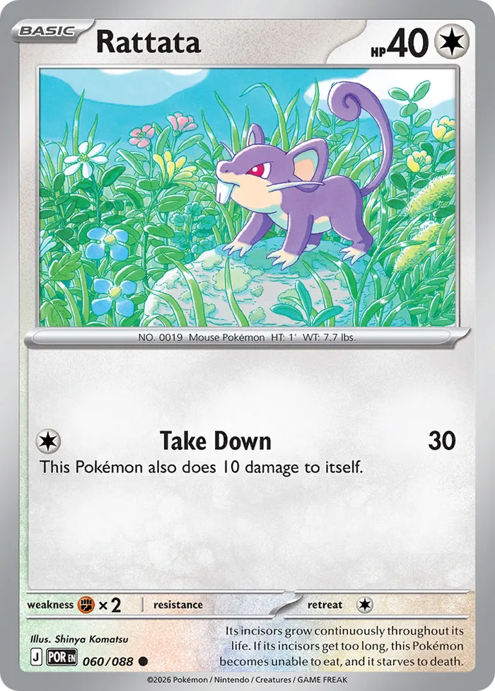 Carte Rattata — Perfect Order Additionals