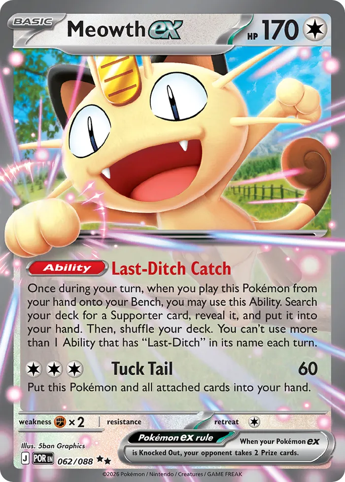 Carte Miaouss ex — Perfect Order Additionals