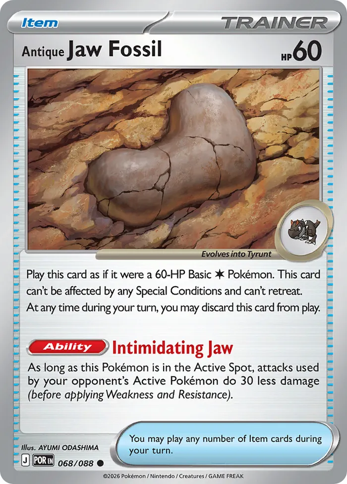 Carte Fossile Mâchoire Ancien — Perfect Order Additionals