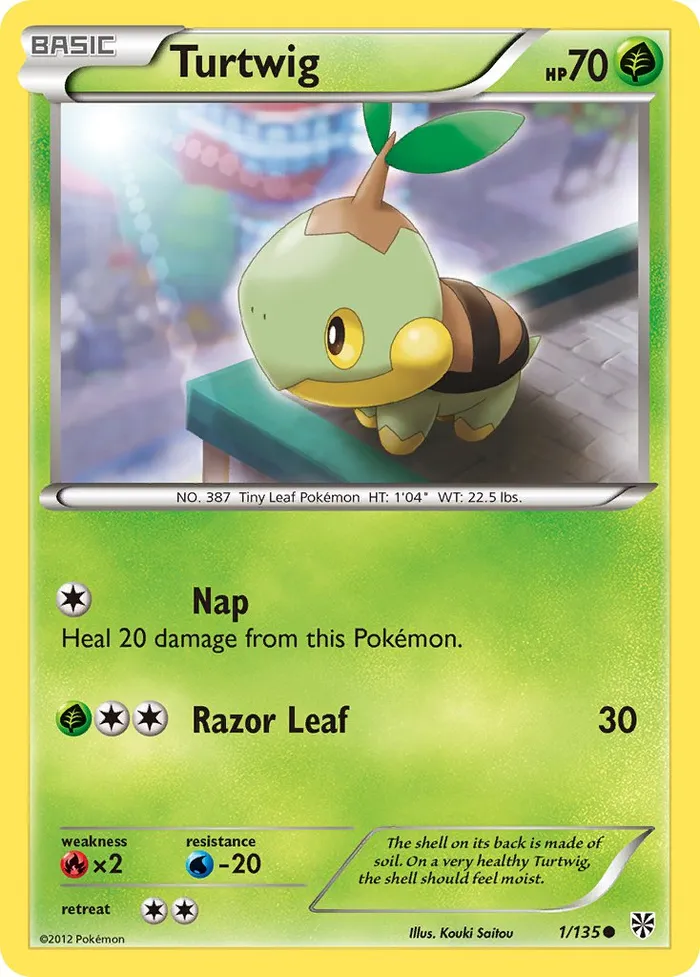 Carte Turtwig — Plasma Storm