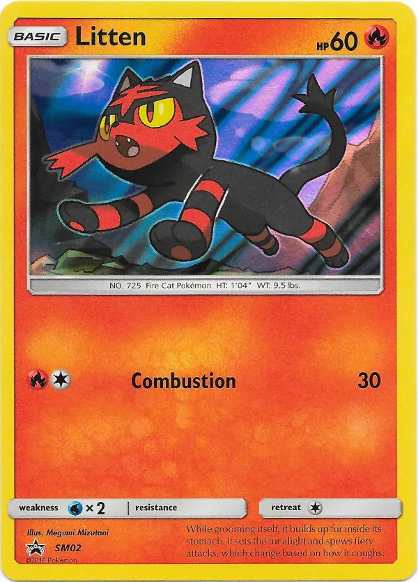 Carte Flamiaou — SM Black Star Promos