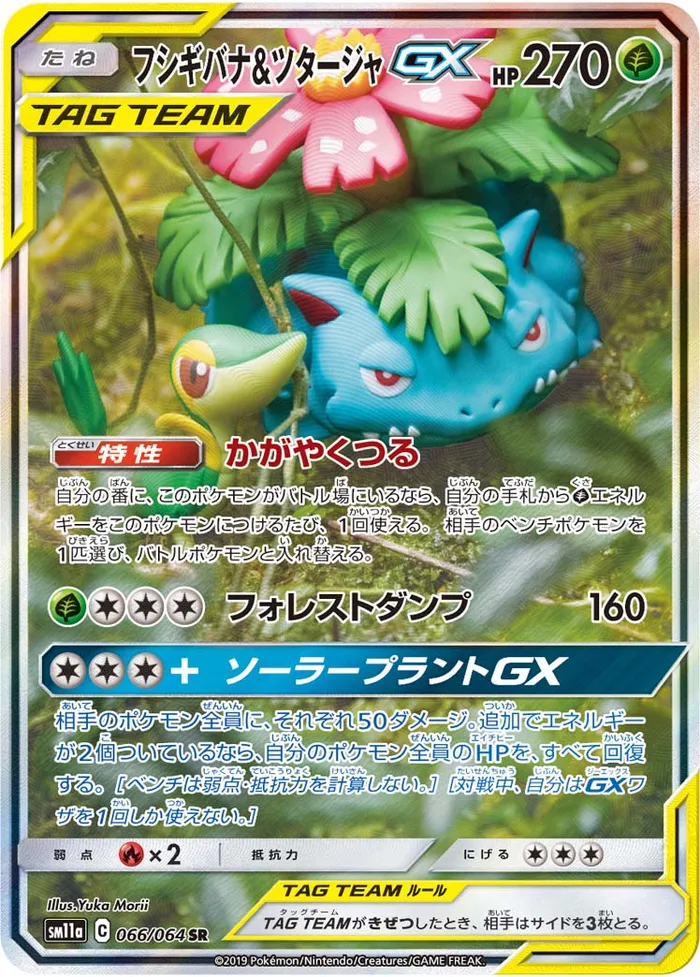 Carte Florizarre et Vipélierre GX — SM Black Star Promos