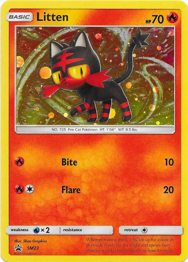 Carte Flamiaou — SM Black Star Promos