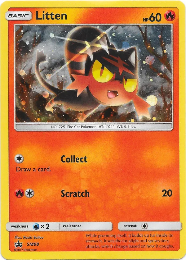 Carte Flamiaou — SM Black Star Promos