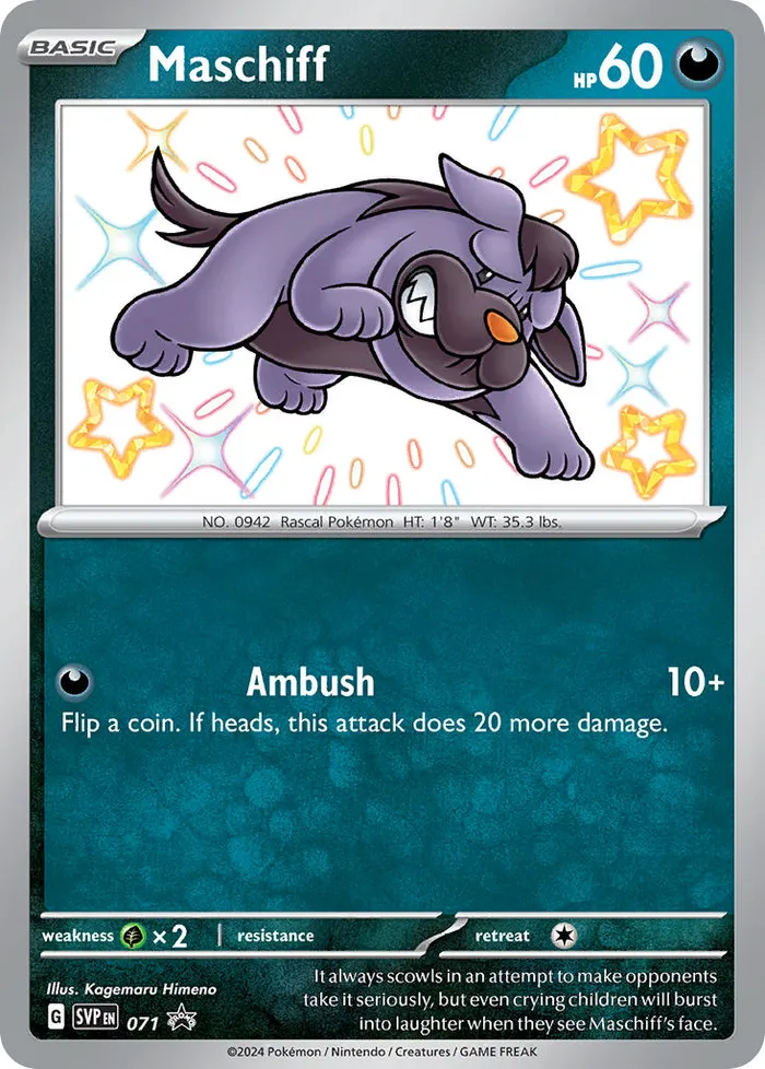 Carte Grondogue — SV Black Star Promos