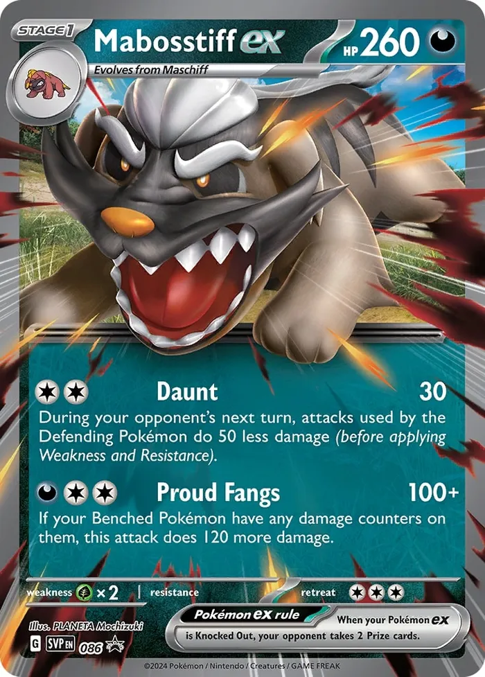 Carte Dogrino ex — SV Black Star Promos
