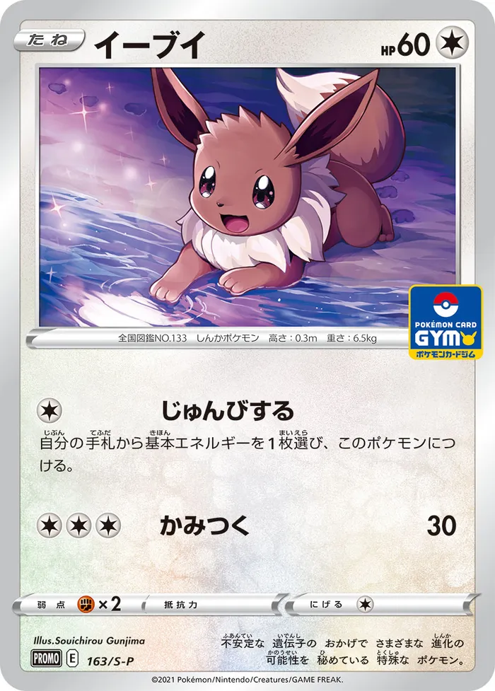 Carte Évoli — SWSH Black Star Promos