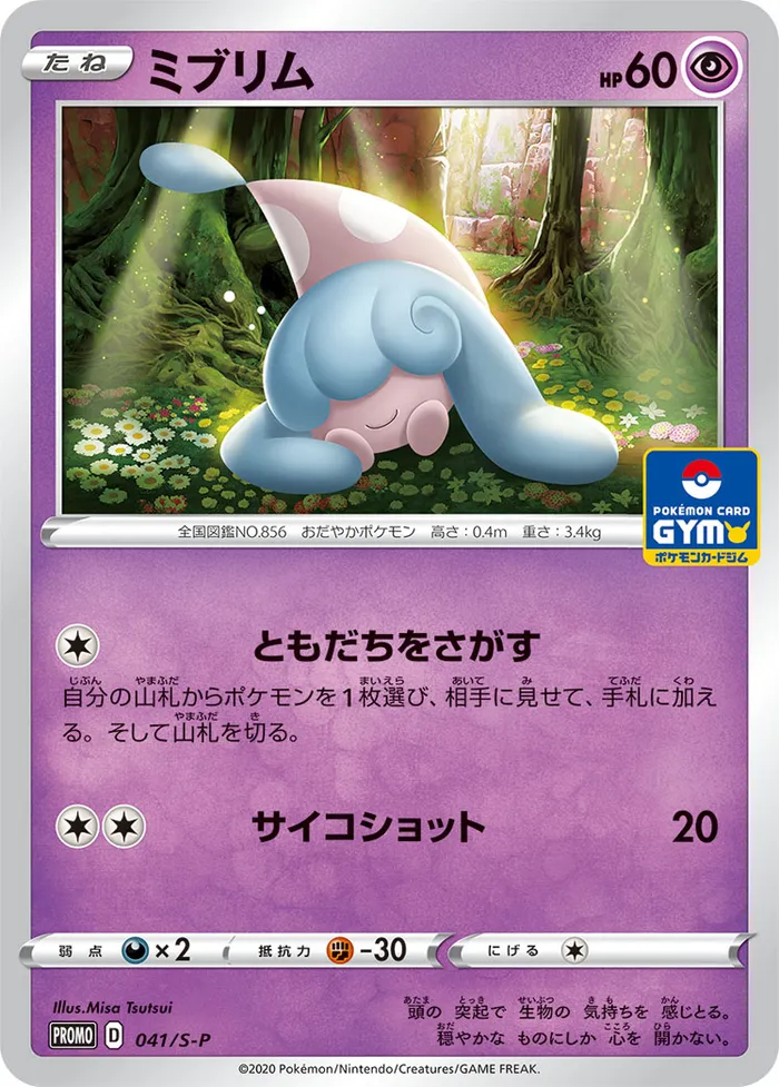 Carte Bibichut — SWSH Black Star Promos