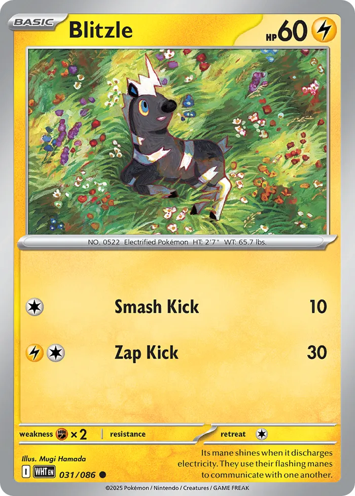 Carte Zébibron — White Flare Additionals