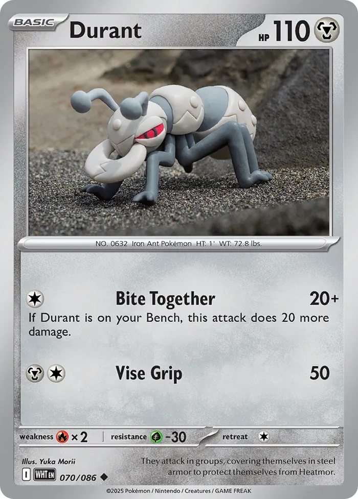 Carte Fermite — White Flare Additionals