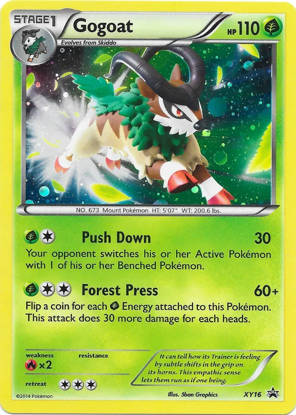 Carte Chevroum — XY Black Star Promos