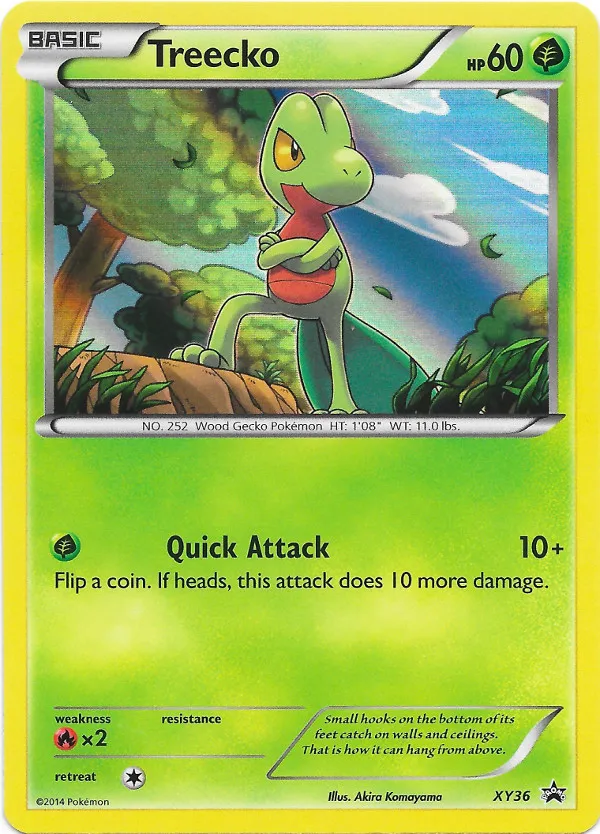 Carte Arcko — XY Black Star Promos