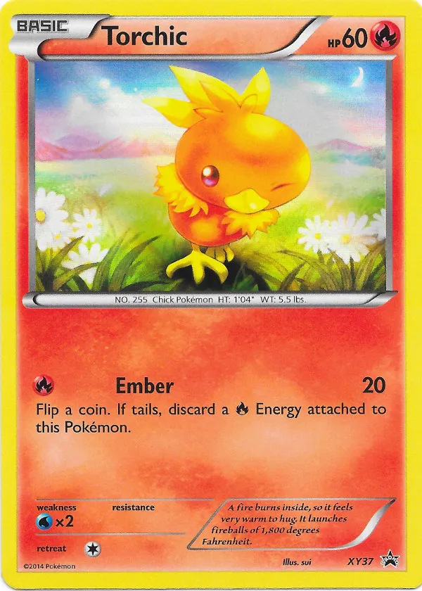 Carte Torchic — XY Black Star Promos