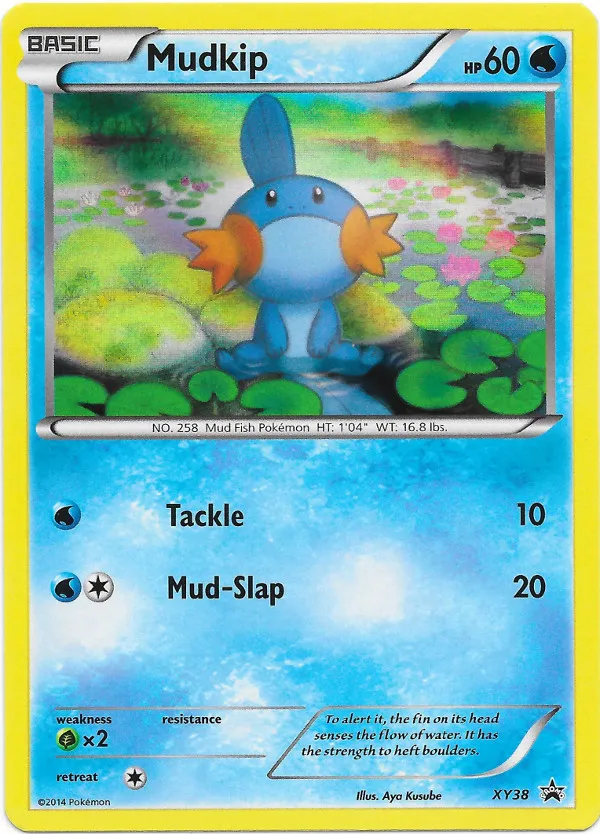 Carte Gobou — XY Black Star Promos