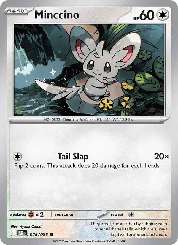 Carte Chinchidou — Black Bolt Additionals