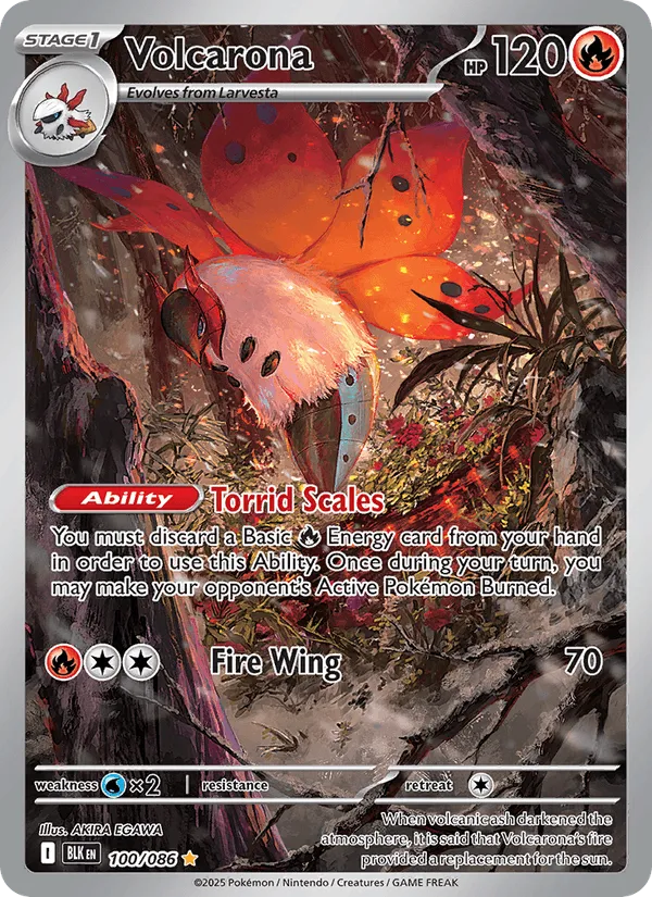 Carte Pyrax — Black Bolt Additionals
