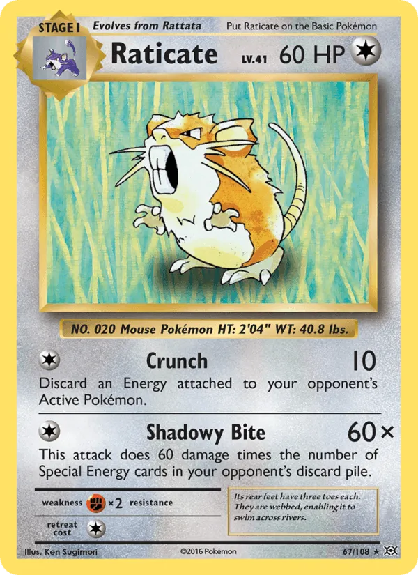 Carte Raticate — Evolutions