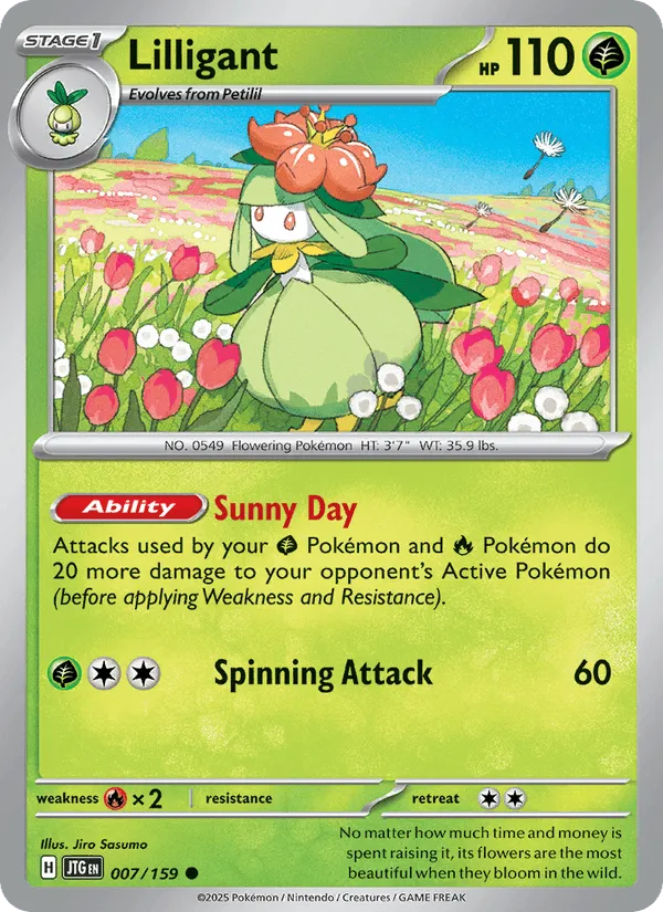 Carte Fragilady — Journey Together Additionals