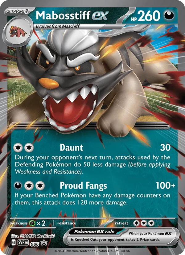 Carte Dogrino ex — SV Black Star Promos