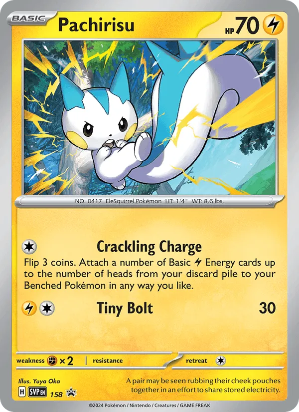 Carte Pachirisu — SV Black Star Promos