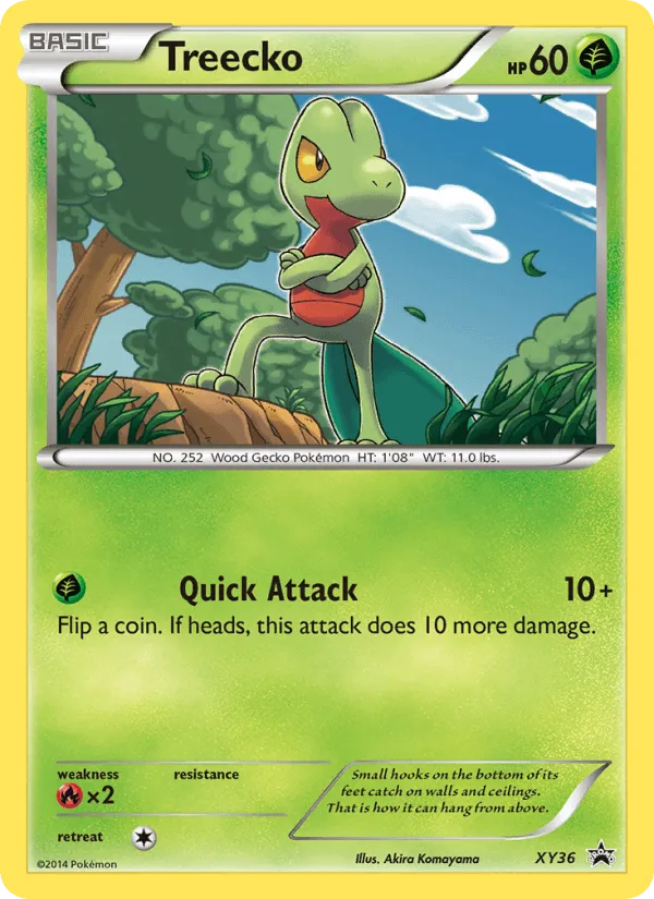Carte Arcko — XY Black Star Promos