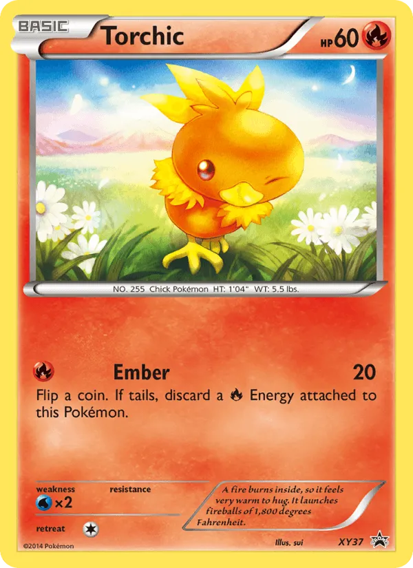 Carte Torchic — XY Black Star Promos