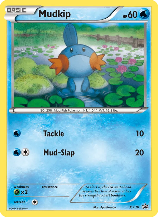 Carte Gobou — XY Black Star Promos